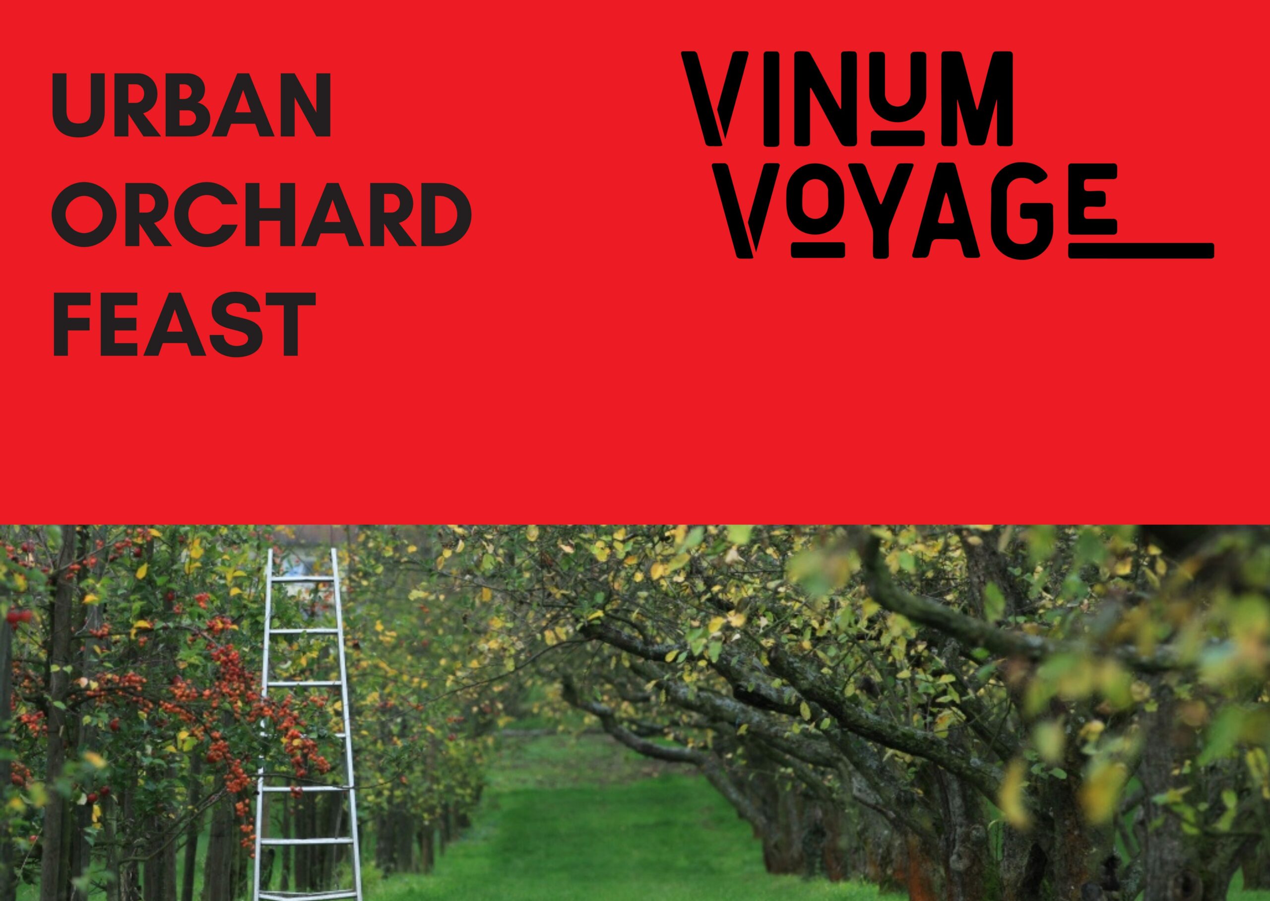 Urban Orchard Feast bei Vinum Voyage