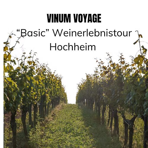 Vinum Voyage Basic Weinerlebnistour