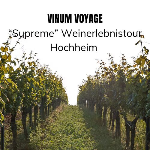 Vinum Voyage Supreme Weinerlebnistour Hochheim